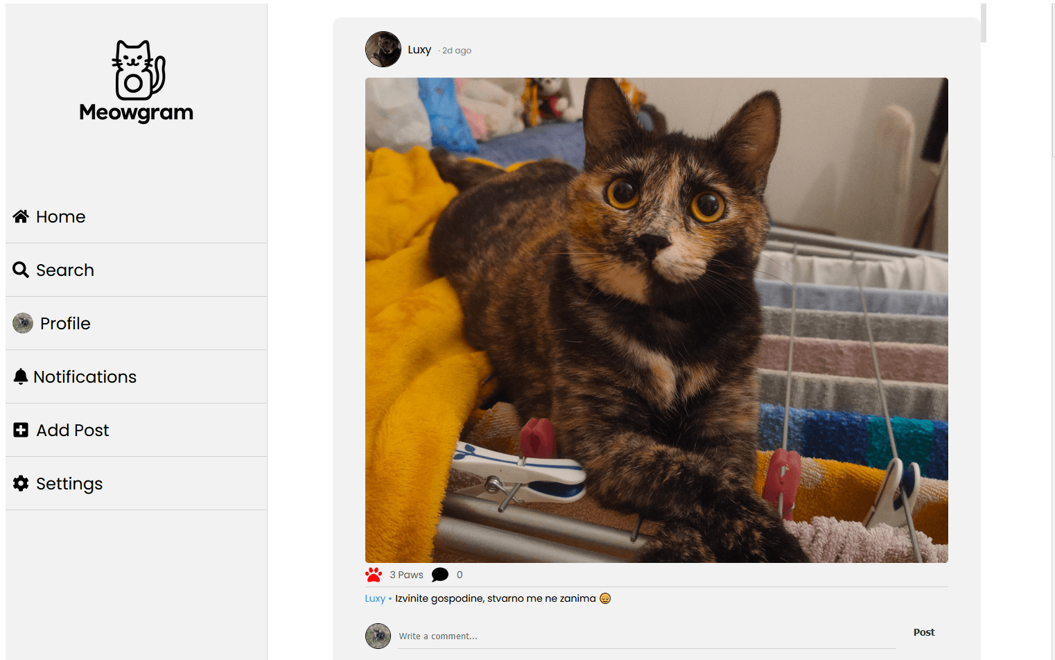 Screenshot of Meowgram - Full-Stack Social App